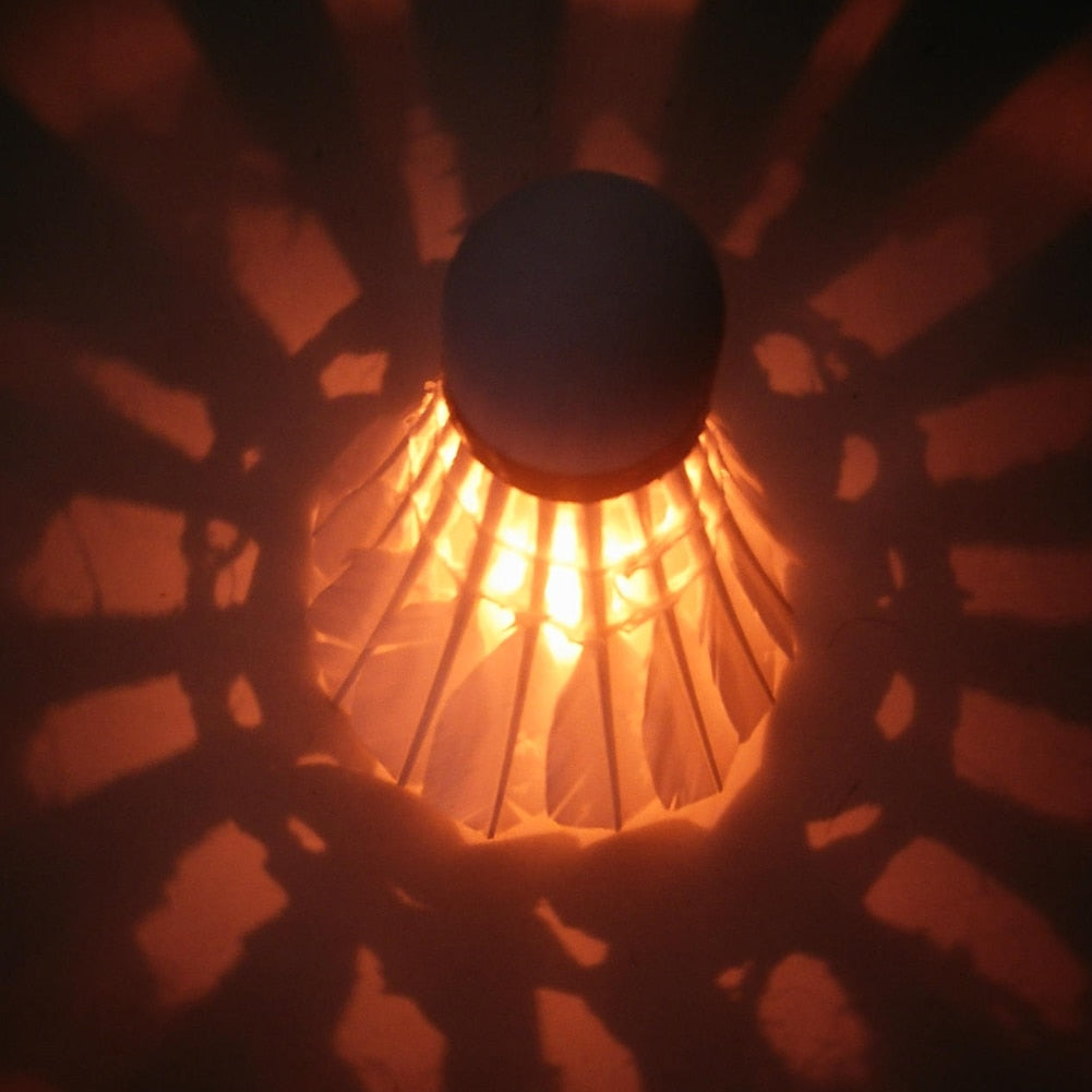 Fluorescent Badminton Shuttlecock